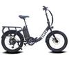 Electric Bike for Adults, 500W Motor 25MPH Max Speed, 48V 10AH Removable Battery, 20" Fat Tire Foldable and 7-Speed Bicycles