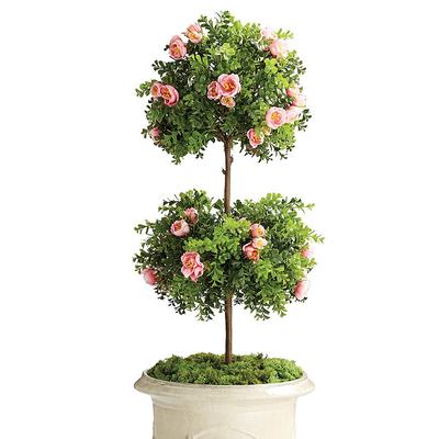 Rose Boxwood Doube Ball Topiary - Frontgate
