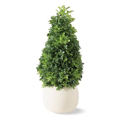 Outdoor Tabletop Boxwood Cone - Frontgate