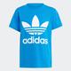 T-Shirt ADIDAS ORIGINALS "TREFOIL TEE" Gr. 128, blau (blubir) Kinder Shirts T-Shirts