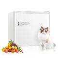 Antarctic Star Portable 1.2 Cubic Feet Frost-Free Upright Freezer w/ Adjustable Temperature Controls in White | 19.54 H x 19.5 W x 19.7 D in | Wayfair