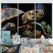 Design Art Closeup Turtle Portrait II On Metal 3 Pieces Print in Brown | Wayfair MT100577-3P