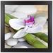 East Urban Home 'Orchid Bamboo' Framed Photographic Print Paper in Gray/Green | 9" H x 9" W x 1" D | Wayfair EAUU8614 37690001