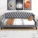 House of Hampton® Javonti Platform Bed Upholstered/Velvet in White | 33.8 H x 45.6 W x 80.7 D in | Wayfair 2B187D8B68914878ACC1A80BC2625372
