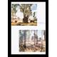 Australian Image: 50 Landscapes in Colour Colin Simpson (Text) [Very Good]
