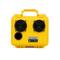 Demerbox DB2 Speakers Paniman Yellow DB2-1300-YLW
