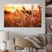 Latitude Run® Yellow Wildflowers Field w/ Sunset II - Floral Metal Art Print Set Metal in Brown/Yellow | 28 H x 48 W x 1 D in | Wayfair