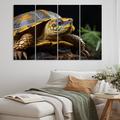 Latitude Run® Closeup Turtle Portrait I - Animals Turtle Metal Wall Art Set in Brown | Wayfair 821446E9B04441EC952BACCCF99707AA