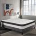 Full Firm 14" Hybrid Mattress - Wayfair Sleep™ Sleep | 75 H x 54 W 14 D in WFSL1039 34538110