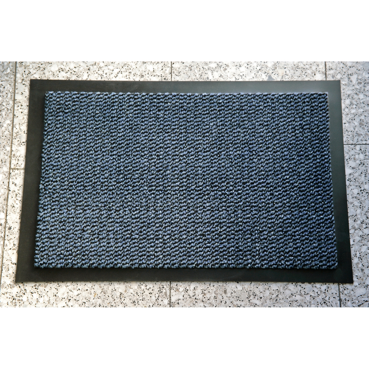 Miltex Schmutzfangmatte 33002 Eazycare Econ 60x90cm PP bl Image