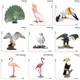 Vogel Modelle Vogel Tier Flamingos Papagei Meer Mew Pfau Eule Strauß Modell solide PVC Action