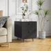 Modern Steel Nightstand Storage Cabinet with 2 Drawers for Living Room,Bedroom