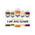 Rebel Kitchen Cleanses- Restore & Refresh, 3 Day Juice Cleanse- Cold Pressed- Organic Juice Cleanse- Made in the UK- 15 x 500ml- Cold Pressed Organic Juices- Frozen for your Convinience