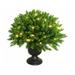 Lapland Charm Tree CO LTD Porch Bush in Urn 50 Clear Lights