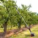43cc 2-Stroke Gas-powered Fruit Picker Vibrational Picking Tool for Olive Walnut