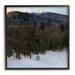 Stupell Industries Winter Nature Painting On Wood Print Wood in Brown/Gray | 12 H x 12 W x 1.5 D in | Wayfair az-770_fr_12x12
