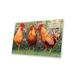 August Grove® Roosters En Place I On Plastic/Acrylic by Marcia Matcham Painting Plastic/Acrylic in Orange | 16 H x 24 W x 0.25 D in | Wayfair