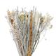 Ash Dried Flower Bouquet, Neutral | Barker & Stonehouse