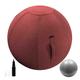 BXYWMDGB Gym Ball Exercise Swiss Ball Anti Burst Ball Chair for Balance, Stability, Quick Pump Included for Sitting Ball Chair Office Use,001,55cm