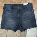 American Eagle Outfitters Shorts | American Eagle Highest Rise 90's Boyfriend Shorts Nwt | Color: Black | Size: 18