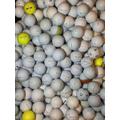 Iron Lake Balls Ltd TaylorMade Golf Balls TP5 Tour Response RBZ Soft Select Distance + Pix Etc (72 Balls)