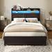 Wade Logan® Bejo Metal Storage Bed w/ LED Light & Charging Station Wood & Metal/Metal in Black/Brown | 42.5 H x 53.9 W x 81.6 D in | Wayfair