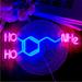 Urban Outfitters Wall Decor | Neon Dopamine Chemical Neurochemistry Science Biology Geek/Nerd Led Light Decor | Color: Blue/Pink | Size: Os