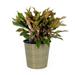 13.4 Self-watering Wicker Decor Planter for Indoor and Outdoor - Round - Natural