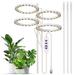 Walmeck Grow Lights for Indoor Plants 4 Heads USB Powered Grow Light 8H/12H/16H Timer 5 Dimmable Brightness Plant Growing Lamps for Succulents/Bonsai/Small Plants