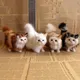 Jouets en peluche de simulation de chat mignon pour enfants modèle de chaton en peluche douce faux