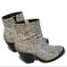 Anthropologie Shoes | Anthropologie Matisse Keegan Snakeskin Booties 6.5 | Color: Black/Cream | Size: 6.5