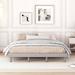 Modern & Clean Design Queen Floating Platform Bed Frame,Sleek and Contemporary Look,Easy Assembly