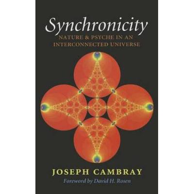Synchronicity: Nature And Psyche In An Interconnected Universe Volume 15