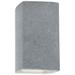 Ambiance 13 1/2"H Concrete Closed LED ADA Outdoor Sconce