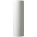 Ambiance 17"H Matte White Tube LED ADA Outdoor Wall Sconce