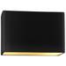 Ambiance 10" High Carbon Gold LED ADA Outdoor Wall Sconce