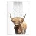 Stupell Industries Az-240-Framed Highland Cow Bathroom Splash Print Wood in Brown | 19 H x 13 W in | Wayfair az-240_wd_13x19