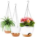 Katinyos 3Pack Hanging Planters for Indoor Plants 8/7.5/7 inch Self Watering Hanging Basket Planter Hanging Flower Plant Pot with Drainage Holes & Removable Saucer