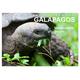 Galapagos. Verzauberte Inseln (Tischkalender 2024 DIN A5 quer), CALVENDO Monatskalender - Calvendo
