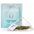 SIROCCO TEA Switzerland - Wellness Tea Pure Power (Organic green tea with mate and citrus flavors) - 100 tea bags (hospitality industry bulk box)