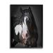 Stupell Industries Black & White Horse On Wood by David Drost Wood in Brown | 14 H x 11 W x 1.5 D in | Wayfair az-298_fr_11x14