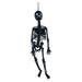 Home Decor Children Educational Toys Whole Body Scary Skeleton Model Toy