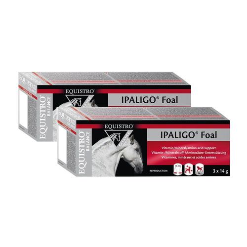 Equistro Ipaligo Foal VET Doppelpack 2x3x14 g Paste