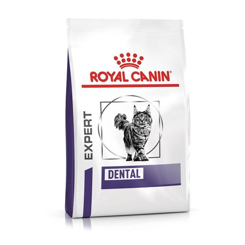 Sparpaket 2x3kg Royal Canin Expert Feline Dental Katzenfutter trocken