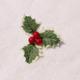 10pcs Creative Christmas Plant Stem Pick Garland Accessories Decoration Artificial Berry Green Leaf Pick Plant for DIY Home Ornament (Red Berry Style)