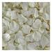 Cream Ivory Rose Petals. 1100 Petals -30 Cups-Preserved Freeze-Dried Rose Petals. Wedding Rose Petals From