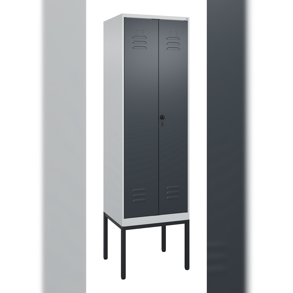 C+P Doppel-Spind Classic PLUS, Gestell, 2 Abteile, HxBxT 212x60x50cm, Sicherheitsdrehriegel, Hellgrau/Anthrazit von PROREGAL Image