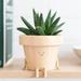 Trayknick Smiling Face Succulent Flower Pot - Stable Support Sun and Rain Resistant Fun Garden Planter for Succulents