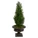 Silk Plant Nearly Natural 3.5 Mini Cedar Artificial Pine Tree in Iron Colored Urn UV Resistant (Indoor/Outdoor)