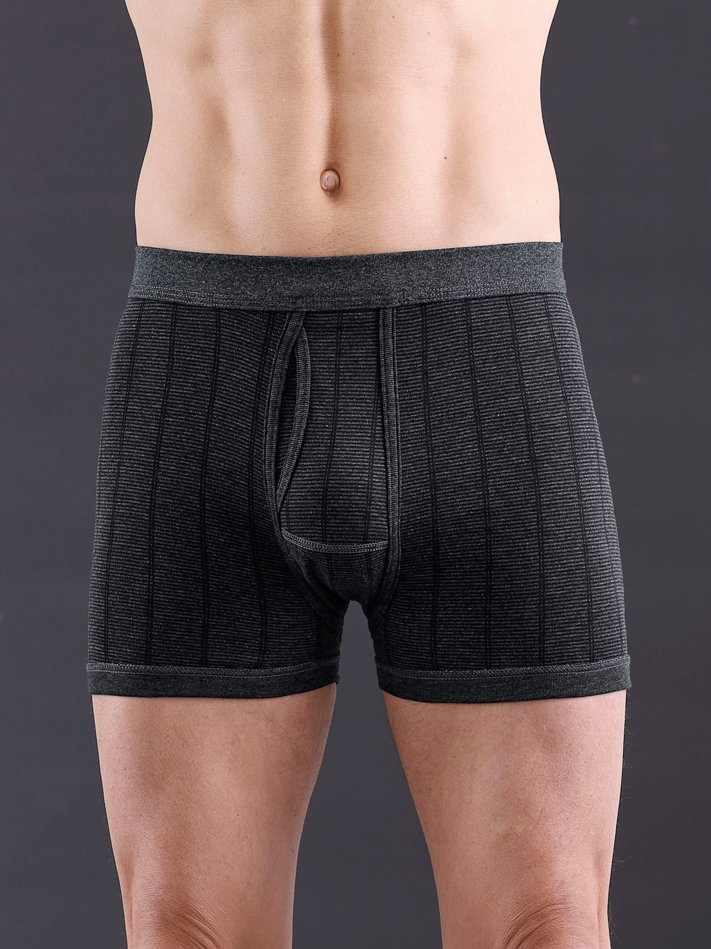 Schlüpfer WÄSCHEPUR, Herren, Gr. 5, grau (dunkelgrau, gestreift), 75% Baumwolle, 25% Polyester, Unterhosen Image